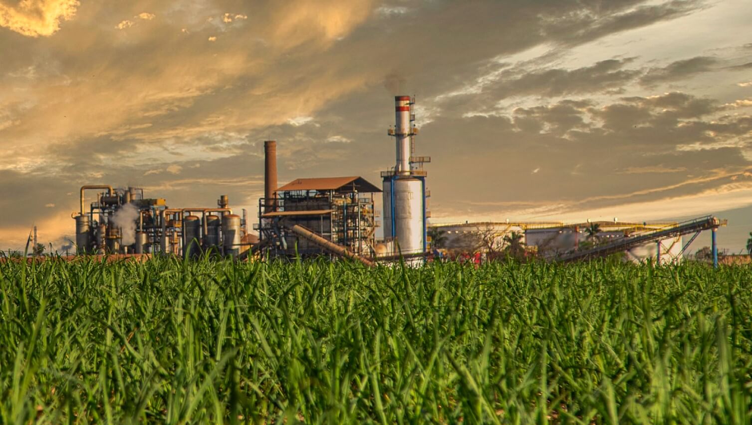 MOLYGRAFIT HF/KM: LubrificaÃ§Ã£o de Alta Performance para Usinas